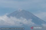 Gunung Semeru tujuh kali erupsi pada Sabtu pagi