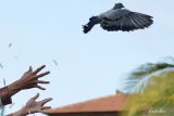 Penari melepaskan seekor burung saat peringatan 22 tahun tragedi bom Bali di Monumen Bom Bali, Badung, Bali, Sabtu (12/10/2024). Kegiatan tersebut untuk mendoakan dan mengenang para korban dalam peristiwa tragedi bom Bali yang menewaskan 202 orang pada tahun 2002. ANTARA FOTO/Fikri Yusuf/wsj.