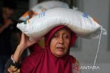 Warga penerima manfaat memikul  karung berisi beras  seberat 10 kilogram saat penyaluran di Kantor PT Pos Indonesia (Persero) Banda Aceh, Aceh, Sabtu (12/10/2024). Pemerintah kembali menyalurkan bantuan pangan beras sebanyak 10 kilogram tahap ketiga tahun 2024 periode Agustus, Oktober dan Desember 2024 kepada sebanyak  22 juta keluarga penerima manfaat (KPM) di seluruh Indonesia dalam upaya membantu meringankan beban ekonomi masyarakat dan pengendalian inflasi. ANTARA FOTO/Ampelsa.