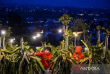 Pekerja merawat tanaman buah naga di Kebun Buah Naga Poernama, Bayongbong, Kabupaten Garut, Jawa Barat, Kamis (17/10/2024). Kebun Naga Poernama menjadi salah satu lokasi pengembangan sektor pertanian berbasis modernisasi, melalui program electrifying agriculture yang digagas PT PLN (Persero) sejak 2021 melalui pemanfaatan energi listrik untuk meningkatkan produktivitas sektor pertanian. ANTARA FOTO/Raisan Al Farisi/agr