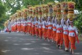 Umat Hindu menjunjung Gebogan atau sesajen berisi kue, buah, bunga dan hiasan janur saat tradisi Mapeed di objek wisata Alas Kedaton, Desa Kukuh, Tabanan, Bali, Rabu (16/10/2024). Tradisi yang digelar pada 16-18 Oktober 2024 tersebut diikuti ratusan perempuan Bali dalam rangkaian upacara persembahyangan di Pura Dalem Kahyangan Kedaton sekaligus untuk meningkatkan kunjungan wisatawan ke objek wisata itu. ANTARA FOTO/Nyoman Hendra Wibowo/wsj.