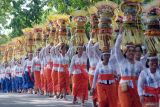 Umat Hindu menjunjung Gebogan atau sesajen berisi kue, buah, bunga dan hiasan janur saat tradisi Mapeed di objek wisata Alas Kedaton, Desa Kukuh, Tabanan, Bali, Rabu (16/10/2024). Tradisi yang digelar pada 16-18 Oktober 2024 tersebut diikuti ratusan perempuan Bali dalam rangkaian upacara persembahyangan di Pura Dalem Kahyangan Kedaton sekaligus untuk meningkatkan kunjungan wisatawan ke objek wisata itu. ANTARA FOTO/Nyoman Hendra Wibowo/wsj.