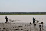 Warga menarik jaring saat menangkap ikan di Waduk Dawuhan, Kabupaten Madiun, Jawa Timur, Kamis (17/10/2024). Sejumlah warga setempat memanfaatkan air waduk yang menyusut dengan menangkap ikan untuk kemudian dijual dengan harga ikan nila Rp25.000 per kilogram, lele Rp 30.000 per kilogram serta ikan gabus Rp50.000 per kilogram. Antara Jatim/Siswowidodo/mas.