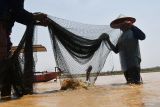 Warga mengangkat ikan yang terperangkap jaring di Waduk Dawuhan, Kabupaten Madiun, Jawa Timur, Kamis (17/10/2024). Sejumlah warga setempat memanfaatkan air waduk yang menyusut dengan menangkap ikan untuk kemudian dijual dengan harga ikan nila Rp25.000 per kilogram, lele Rp 30.000 per kilogram serta ikan gabus Rp50.000 per kilogram. Antara Jatim/Siswowidodo/mas.