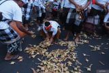 Sejumlah warga mengambil ketupat yang digunakan untuk melempar warga lainnya saat Tradisi Mesalaran di Desa Adat Padang Luwih, Badung, Bali, Kamis (17/10/2024). Tradisi saling lempar ketupat yang merupakan warisan budaya leluhur tersebut digelar untuk memohon kesejahteraan, mempererat rasa persaudaraan serta sebagai wujud syukur kepada Tuhan. ANTARA FOTO/Nyoman Hendra Wibowo/wsj.