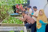 Dinas Perikanan Batam adopsi teknologi budidaya modern optimalkan produksi ikan