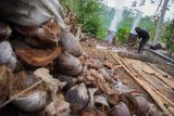 Pekerja mengumpulkan batok kelapa untuk bahan baku produksi arang briket di Desa Gucialit, Lumajang, Jawa Timur, Senin (21/10/2024). Produksi arang briket rumahan dengan memanfaatkan limbah batok kelapa yang dijual seharga Rp10 ribu hingga Rp30 ribu per kilogram tersebut mampu memproduksi 15 ton briket per bulan dengan penghasilan bersih sedikitnya Rp45 juta per bulan dan telah dipasarkan ke sejumlah daerah di Jawa Timur, Bali dan menembus pasar ekspor Turki dan Arab Saudi. Antara Jatim/Irfan Sumanjaya/um