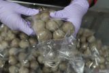 Pekerja mengemas bakso malang di rumah produksi Bakso Stritikah, Malang, Jawa Timur, Senin (21/10/2024). Pengusaha mengatakan sebanyak 2.000 bungkus bakso malang hasil produksi perminggu diekspor ke Hongkong dan Korea selatan serta dijual ke berbagai kota di Indonesi melalui pasar digital dengan harga Rp30 ribu per bungkus. Antara Jatim/Ari Bowo Sucipto/um