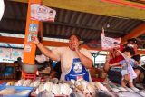 Warga menyambut kedatangan calon Gubernur Jawa Timur nomor urut dua Khofifah Indar Parawansa saat berkampanye di Tempat Pelelangan Ikan Muncar Banyuwangi, Jawa Timur, Senin (21/10/2024). Pada kampanyenya di Banyuwangi Khofifah mendatangi masyarakat nelayan untuk menyerap aspirasi dan menyampaikan visi dan misi dalam mewujudkan kesejahteraan nelayan. ANTARA Jatim/Budi Candra Setya/mas.