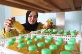 Perajin menata jamu tradisional kemasan hasil produksi sebelum dikirim ke konsumen di rumah produksi Jamu Oetie, Malang, Jawa Timur, Kamis (24/10/2024). Perajin mengatakan dalam sebulan mampu menjual sedikitnya 4.000 botol jamu tradisional kemasan berbagai jenis antara lain beras kencur, kunir asem dan temulawak  ke sejumlah restoran maupun pelanggan dengan harga Rp8.000 hingga Rp9.000 per botol tergantung jenisnya. Antara Jatim/Ari Bowo Sucipto/um