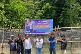 Konjen Australia di Makassar kunjungi budidaya teripang di Kepulauan Togean Sulteng