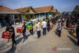 Warga membawa tenong berisi nasi tumpeng saat tradisi Tenongan di Desa Malang Semirang, Lobener, Indramayu, Jawa Barat, Senin (28/10/2024). Warga setempat menggelar tradisi Tenongan tersebut sebagai bentuk rasa syukur atas hasil panen padi. ANTARA FOTO/Dedhez Anggara/agr