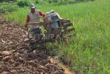 Petani membajak sawah di Kota Bengkulu, Bengkulu, Jumat (25/10/2024). Pemerintah berencana akan menghapus utang kredit macet enam juta petani dan nelayan di perbankan melalui penerbitan Peraturan Presiden (Perpres) pemutihan utang. ANTARA FOTO/Muhammad Izfaldi/nym.