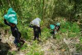 Relawan Laskar Hijau membawa pupuk untuk bibit pohon bambu yang ditanam di kawasan lereng Gunung Lemongan, Lumajang, Jawa Timur, Selasa (29/10/2024). Memasuki musim hujan, komunitas peduli lingkungan Laskar Hijau pada tahun ini menargetkan penanaman 5000 bibit pohon buah dan 5000 bibit pohon bambu sebagai upaya untuk memitigasi krisis iklim di wilayah tersebut. ANTARA Jatim/Irfan Sumanjaya/mas.