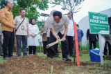 Menteri Kehutanan Raja Juli Antoni menanam pohon dengan warga saat kunjungannya di Lumajang, Jawa Timur, Rabu (30/10/2024). Kunjungan tersebut untuk meninjau kolaborasi pihak terkait dalam mendorong percepatan pengelolaan perhutanan sosial yang dikemas dalam konsep pengembangan wilayah terpadu berbasis perhutanan sosial atau integrated Area Development (IAD). Antara Jatim/Irfan Sumanjaya/um