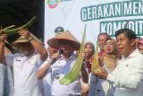 Penjabat Wali Kota Pontianak Ani Sofian (kiri) didampingi Kadis Pangan Pertanian dan Perikanan Kota Pontianak Much Yamin (kanan) menanam lidah buaya di acara Gerakan Menanam Lidah Buaya di UPTD Agribisnis di Pontianak, Kalimantan Barat, Rabu (30/10/2024). Gerakan tersebut menjadi sarana pengembangan komoditas lidah buaya yang bertujuan untuk meningkatkan pendapatan petani lokal dan peningkatan produksi lidah buaya. Antara Kalbar/Victorya Fernando.