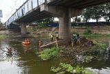 Petugas gabungan dari Badan Penanggulangan Bencana Daerah (BPBD) dan Balai Besar Wilayah Sungai (BBWS) Bengawan Solo menyingkirkan sampah yang tersangkut di pilar jembatan Sungai Madiun, Kota Madiun, Jawa Timur, Kamis (31/10/2024). Kegiatan menyingkirkan sampah tersebut dimaksudkan untuk pencegahan dan mitigasi bencana banjir. Antara Jatim/Siswowidodo/mas.