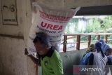 Pekerja mengangkut pupuk urea di gudang lini 3 Jatibarang pupuk Kujang, Indramayu, Jawa Barat, Jumat (1/11/2024). Pemerintah mengalokasikan anggaran sebesar Rp44 triliun untuk penyediaan pupuk yang dikelola BUMN guna mendukung program swasembada pangan pada tahun 2025. ANTARA FOTO/Dedhez Anggara/agr
