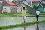 Warga mengangkut puing bangunan yang rusak akibat terdampak hujan disertai angin kencang di Lumajang, Jawa Timur, Jumat (1/11/2024). Memasuki musim penghujan, Badan Meteorologi Klimatologi dan Geofisika (BMKG) mengimbau kepada masyarakat dan instansi terkait untuk mewaspadai potensi cuaca ekstrem yang dapat menyebabkan terjadinya bencana hidrometeorologi pada periode 31 Oktober hingga 6 November 2024 di sejumlah wilayah Jawa Timur. ANTARA Jatim/Irfan Sumanjaya/mas.