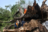 Dampak bencana angin kencang di Madiun