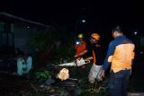 Petugas Badan Penanggulangan Bendana Daerah (BPBD) mengevakuasi pohon roboh akibat angin kencang di Kota Madiun, Jawa Timur, Kamis (31/10/2024). Hujan disertai angin kencang mengakibatkan sejumlah pohon roboh menimpa kabel listrik, kabel telepon dan sejumlah rumah. Antara Jatim/Siswowidodo/mas.