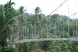 Bupati Dharmasraya tinjau perbaikan jembatan gantung lubuk karak