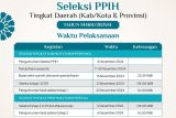 Seleksi petugas haji 2025 tingkat daerah dibuka 7-15 November