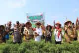 Kementan serahkan bantuan bangsal pascapanen hortikultura di Kulon Progo