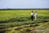 Minister Amran vows to resign if he fails to end food import mafia