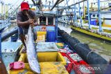 Nelayan mengangkut ikan hasil tangkapannya di Tempat Pelelangan Ikan (TPI) Karangantu, Serang, Banten, Rabu (6/11/2024). Kementerian Kelautan dan Perikanan akan mengembangkan lima kebijakan ekonomi biru untuk kelautan dan perikanan berkelanjutan yaitu memperluas kawasan konservasi laut, penangkapan ikan terukur berbasis kuota, pengembangan budidaya di laut, pesisir dan darat secara berkelanjutan, pengawasan dan pengendalian wilayah pesisir dan pulau-pulau kecil, serta pembersihan sampah plastik di laut melalui gerakan pertisipasi nelayan. ANTARA FOTO/Putra M. Akbar/gp