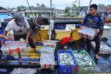 Nelayan mengangkut ikan hasil tangkapannya di Tempat Pelelangan Ikan (TPI) Karangantu, Serang, Banten, Rabu (6/11/2024). Kementerian Kelautan dan Perikanan akan mengembangkan lima kebijakan ekonomi biru untuk kelautan dan perikanan berkelanjutan yaitu memperluas kawasan konservasi laut, penangkapan ikan terukur berbasis kuota, pengembangan budidaya di laut, pesisir dan darat secara berkelanjutan, pengawasan dan pengendalian wilayah pesisir dan pulau-pulau kecil, serta pembersihan sampah plastik di laut melalui gerakan pertisipasi nelayan. ANTARA FOTO/Putra M. Akbar/gp