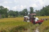 Korem Gapo kolaborasi dengan Dinas Pertanian Sumsel cetak sawah 2025