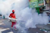 Petugas melakukan pengasapan (fogging) guna memberantas nyamuk penyebab Demam Berdarah Dengue (DBD) di Lumajang, Jawa Timur, Kamis (7/11/2024). Pemerintah kabupaten Kabupaten Lumajang melalui Dinas Kesehatan, Pengendalian Penduduk dan Keluarga Berencana (Dinkes P2KB) setempat melakukan Pemberantasan Sarang Nyamuk (PSN) pemeriksaan jentik berkala, gerakan satu rumah satu jumantik, dan pengasapan di sejumlah titik terindikasi kasus DBD dan bebas jentik kurang dari 95% sebagai upaya antisipasi penyebaran penyakit DBD memasuki pancaroba. ANTARA Jatim/Irfan Sumanjaya/mas.