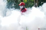 Petugas melakukan pengasapan (fogging) guna memberantas nyamuk penyebab Demam Berdarah Dengue (DBD) di Lumajang, Jawa Timur, Kamis (7/11/2024). Pemerintah kabupaten Kabupaten Lumajang melalui Dinas Kesehatan, Pengendalian Penduduk dan Keluarga Berencana (Dinkes P2KB) setempat melakukan Pemberantasan Sarang Nyamuk (PSN) pemeriksaan jentik berkala, gerakan satu rumah satu jumantik, dan pengasapan di sejumlah titik terindikasi kasus DBD dan bebas jentik kurang dari 95% sebagai upaya antisipasi penyebaran penyakit DBD memasuki pancaroba. ANTARA Jatim/Irfan Sumanjaya/mas.