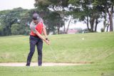 Pegolf Timothy Nathan Suryanto melakukan pukulan approach pada turnamen golf Jotosen Spectacular Wali Kota Surabaya Cup di Ciputra Golf & Family Club, Surabaya, Jawa Timur, Jumat (8/11/2024). Turnamen tersebut diikuti 43 pegolf dari kelas junior A dan B serta pegolf amatir yang berusia dibawah 24 tahun guna menjaring potensi dan meningkatkan poin internasional. Antara Jatim/Rizal Hanafi/um