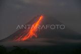 Gunung Merapi meluncurkan 11 kali guguran lava sejauh 1,6 km