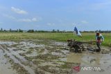 Petani membajak sawah menggunakan traktor di Kasemen, Kota Serang, Banten, Jumat (8/11/2024). Kementan menargetkan penyediaan alat dan mesin pertanian (alsintan) prapanen sebanyak 1,14 juta unit pada rencana program prioritas Kementerian Pertanian pada 2025 untuk mendukung terwujudnya swasembada pangan. ANTARA FOTO/Putra M. Akbar/gp