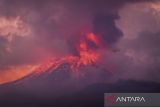 Lava pijar keluar dari kawah Gunung Lewotobi Laki-laki tampak dari bukit di utara Desa Pululera, Wulanggitang, Kabupaten Flores Timur, Nusa Tenggara Timur, Sabtu (9/11/2024). Gunung Lewotobi Laki-laki kembali mengalami erupsi hingga mengeluarkan lava pijarnya ke sejumlah penjuru pada pukul 04.30 WITA dan menimbulkan hujan abu dan pasir vulkanis pada pukul 05.00 WITA. ANTARA FOTO/Aditya Pradana Putra/YU/gp