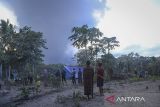 Sejumlah warga menyaksikan erupsi Gunung Lewotobi Laki-laki berlindung dari lokasi pengungsian swadaya di bukit di utara Desa Pululera, Wulanggitang, Kabupaten Flores Timur, Nusa Tenggara Timur, Sabtu (9/11/2024). Sekitar 700 warga Desa Pululera mengungsi secara swadaya ke sebuah bukit yang berjarak 10 kilometer dari pusat erupsi Lewotobi agar mereka lebih mudah dalam mengawasi rumah, hewan ternak dan perkebunan mereka. ANTARA FOTO/Aditya Pradana Putra/YU/gp