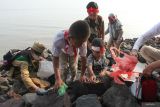 Sejumlah pelajar memungut sampah di Pantai Kenjeran, Surabaya, Jawa Timur, Sabtu (9/11/2024). Aksi dalam rangka menyambut Hari Pahlawan yang diikuti pelajar, orang tua murid, guru dan Tunas Hijau tersebut bentuk kepedulian terhadap kebersihan lingkungan di kawasan pantai. ANTARA Jatim/Didik Suhartono/mas.