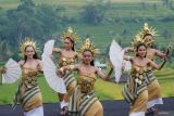 Seniman menampilkan tari kontemporer pada Subak Spirit Festival 2024 di Desa Wisata Jatiluwih, Tabanan, Bali, Sabtu (9/11/2024). Kegiatan yang digelar Kementerian Kebudayaan untuk pertama kalinya sebagai festival pembuka (kick-off) tersebut bertujuan memperkenalkan dan melestarikan warisan budaya subak atau sistem irigasi sawah di Bali dengan tema Pemuliaan Air Untuk Kehidupan yang berlangsung pada 9-10 November 2024. ANTARA FOTO/Nyoman Hendra Wibowo/wsj.