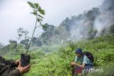 Pegiat lingkungan menanam pohon saat Festival Hujan 2024 di kawasan Sanghyang Lawang, Kabupaten Bandung Barat, Jawa Barat, Minggu (10/11/2024). Festival yang digelar oleh gabungan komunitas panjat tebing, pegiat lingkungan dan olah raga ekstrem se-Bandung Raya tersebut bertujuan untuk menjaga lingkungan serta upaya melestarikan Kawasan Konservasi Karst Citatah. ANTARA FOTO/Abdan Syakura/agr