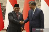 Presiden Prabowo Subianto menyalami Presiden Xi Jinping sebelum menyaksikan MoU antara kedua negara di Balai Besar Rakyat, Beijing, China pada Sabtu (9/11/2024). Dalam pertemuan tersebut, Presiden Prabowo Subianto mengapresiasi China sebagai mitra ekonomi strategis sekaligus investor utama di Indonesia. ANTARA FOTO/Desca Lidya Natalia/foc/gp