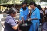Mt. Lewotobi eruption: BNPB collects data for relocation