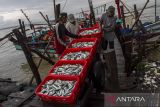 Nelayan mengangkut ikan hasil tangkapan di tempat pelelangan ikan (TPI) Panimbang, Kabupaten Pandeglang, Banten, Senin (11/11/2024). Kementerian Kelautan dan Perikanan (KKP) pada tahun 2025 menargetkan produksi perikanan sebesar 24-58 juta ton, nilai tukar nelayan pada kisaran 105 108, pertumbuhan PDB perikanan pada kisaran 4-6 persen, nilai ekspor hasil perikanan sebesar 6,25 miliar dolar AS, dan produksi garam sebesar 2,25 juta ton. ANTARA FOTO/Angga Budhiyanto/gp