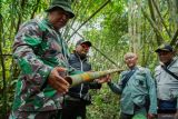 Petugas meninjau kondisi hutan produksi di kawasan hutan lereng Gunung Semeru, Desa Pasrujambe, Lumajang, Jawa Timur, Senin (11/11/2024). Patroli gabungan Perum Perhutani Kesatuan Pemangkuan Hutan (KPH) Probolinggo bersama Polri, TNI, BPBD, dan TNBTS di kawasan hutan Perhutani tersebut sebagai upaya pengendalian fungsi hutan lindung dan hutan produksi sekaligus menindaklanjuti laporan dugaan eksploitasi kawasan hutan di wilayah itu. Antara Jatim/Irfan Sumanjaya/um