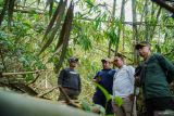 Petugas meninjau kondisi hutan produksi di kawasan hutan lereng Gunung Semeru, Desa Pasrujambe, Lumajang, Jawa Timur, Senin (11/11/2024). Patroli gabungan Perum Perhutani Kesatuan Pemangkuan Hutan (KPH) Probolinggo bersama Polri, TNI, BPBD, dan TNBTS di kawasan hutan Perhutani tersebut sebagai upaya pengendalian fungsi hutan lindung dan hutan produksi sekaligus menindaklanjuti laporan dugaan eksploitasi kawasan hutan di wilayah itu. Antara Jatim/Irfan Sumanjaya/um