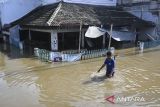 Seorang warga menerjang banjir di Perumahan Taman Mangu Indah, Jurangmangu Barat, Pondok Aren, Tangerang Selatan, Banten, Selasa (12/11/2024). Sebanyak 500 kepala keluarga terdampak banjir dan melumpuhkan akses Jalan Ceger Raya sejak Senin sore (11/11/2024) yang disebabkan proyek tanggul kali jebol tidak kuat menahan debit air hujan. ANTARA FOTO/Sulthony Hasanuddin/gp