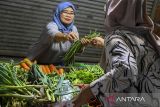 Pedagang sayur melayani pembeli di Pasar Ceger, Tangerang Selatan, Banten, Selasa (12/11/2024). Badan Pusat Statistik mencatat konsumsi rumah tangga mengalami pertumbuhan sebesar 4,91 persen yang didorong oleh program perpanjangan insentif fiskal dari pemerintah sehingga dapat berkontribusi sebesar 53,08 persen terhadap pertumbuhan ekonomi Indonesia pada kuartal III/2024 yang tumbuh sebesar 4,95 persen. ANTARA FOTO/Sulthony Hasanuddin/gp