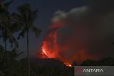 Aktivitas Gunung Lewotobi masih tinggi. Sejumlah pengungsi menyaksikan lava pijar dan kolom asap keluar dari kawah Gunung Lewotobi Laki-laki di lokasi pengungsian swadaya di perbukitan Desa Pululera, Wulanggitang, Kabupaten Flores Timur, Nusa Tenggara Timur, Senin (11/11/2024) malam. Pusat Vulkanologi dan Mitigasi Bencana Geologi (PVMBG) Badan Geologi Kementerian Energi dan Sumber Daya Mineral (ESDM) melaporkan hingga Selasa (13/11) pagi Gunung Lewotobi Laki-laki masih mengalami erupsi dengan ketinggian kolom abu setinggi 3.500-4.000 meter dan terus mengeluarkan lava ke arah barat laut. ANTARA FOTO/Aditya Pradana Putra/Spt/gp